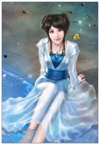 嫁给我,女飞贼